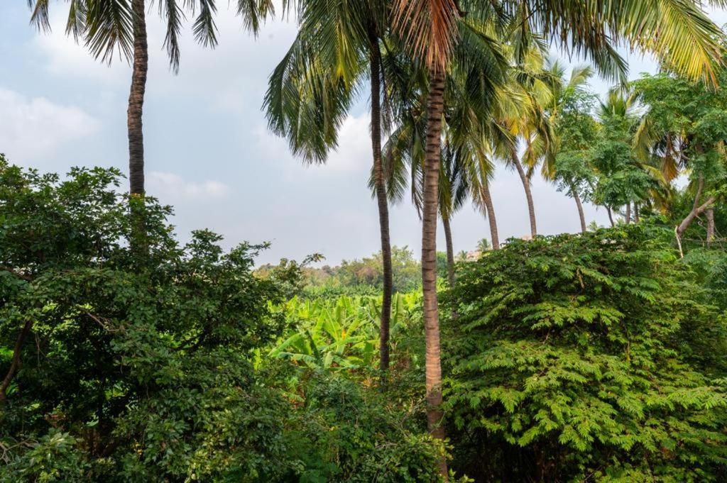 Saptami Hampi Homestay Exterior photo